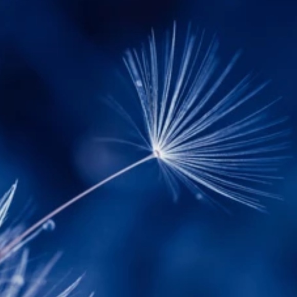 Dandelion earrings - Picture 6 of 8